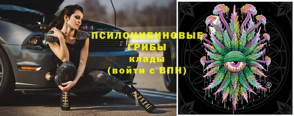 Альфа ПВП Армянск