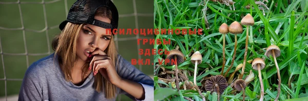 амф Арсеньев
