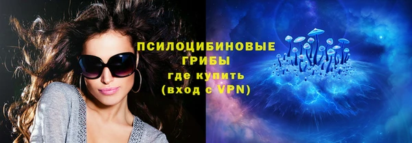 амф Арсеньев